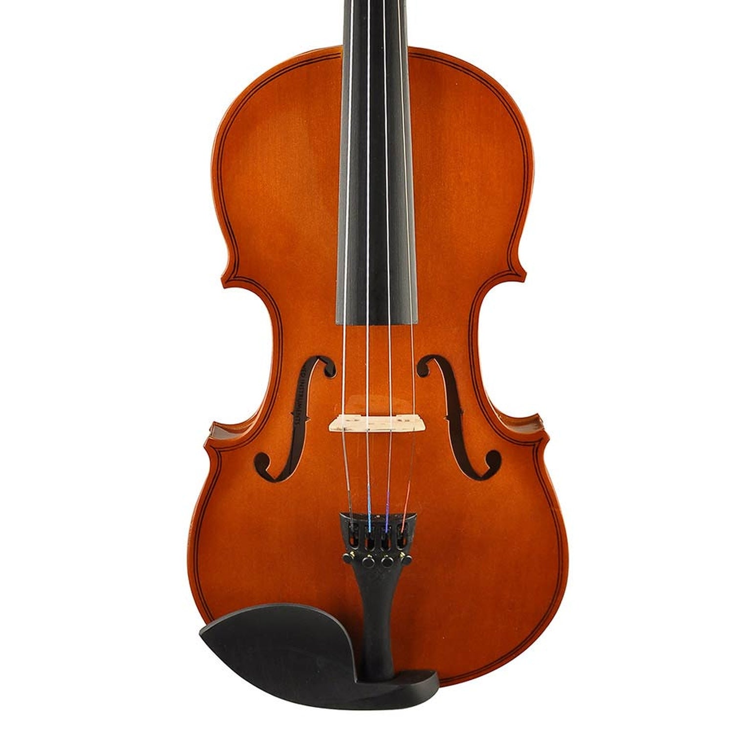 Want to buy a 4/4 violin? | The violin specialist! – Viool-kopen